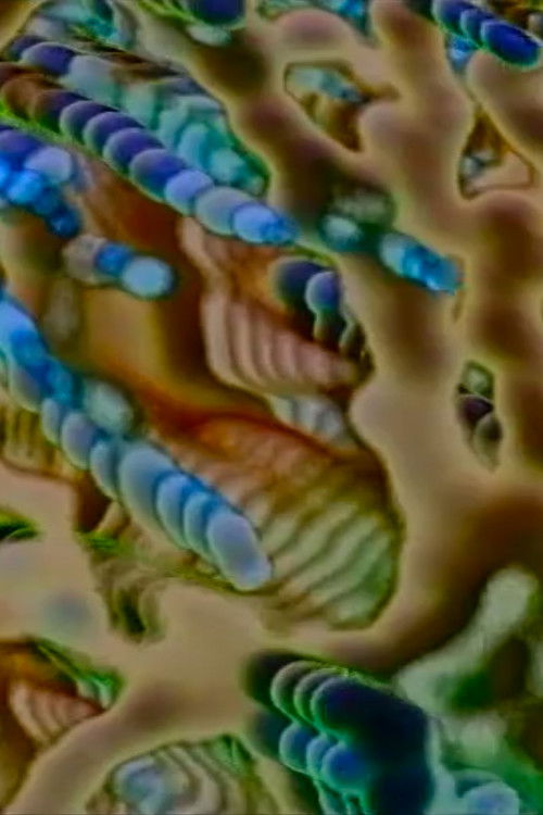 Sky Spirits (2010) poster