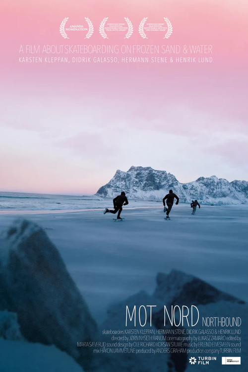 Northbound: Skateboarding on Frozen Sand (2015) poster