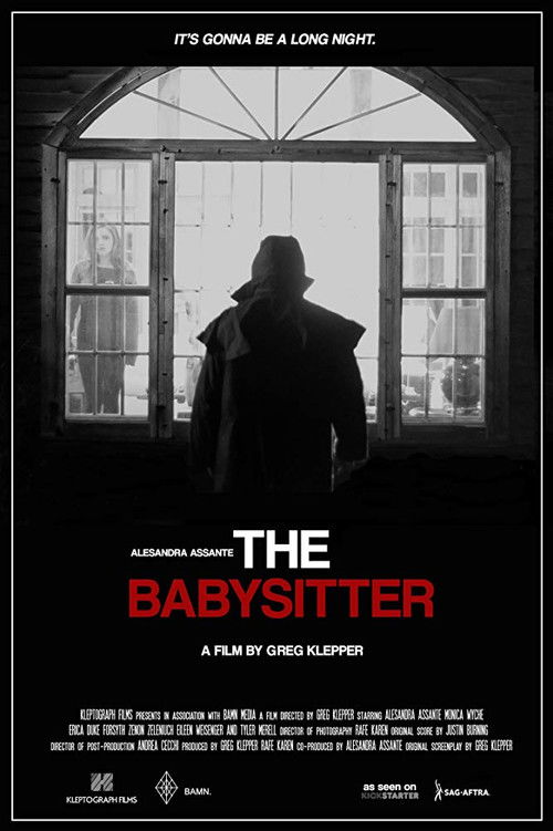 The Babysitter (2017) poster