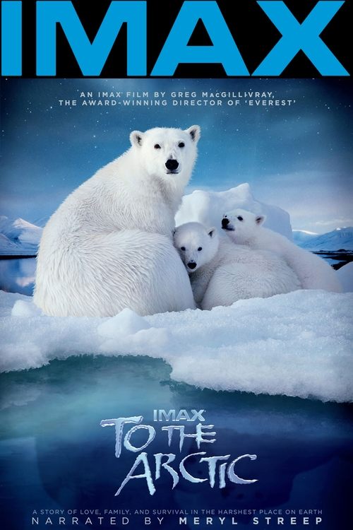 To the Arctic 3D (2012) poster