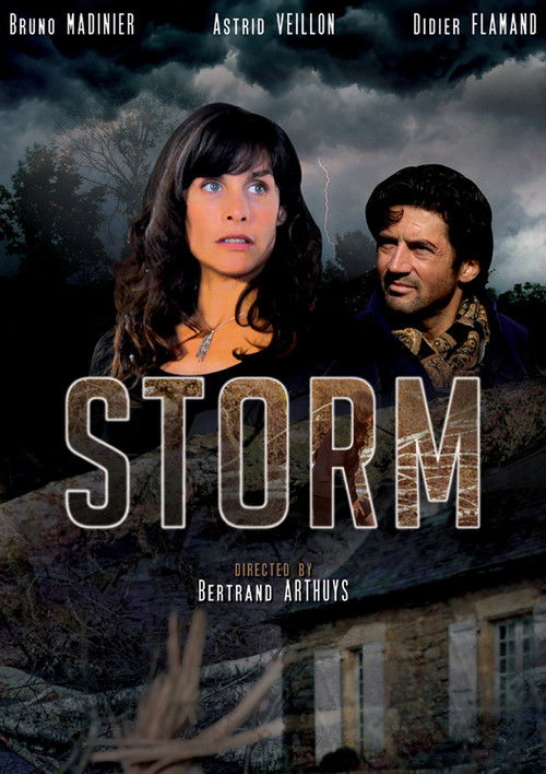 Storm (2006) poster