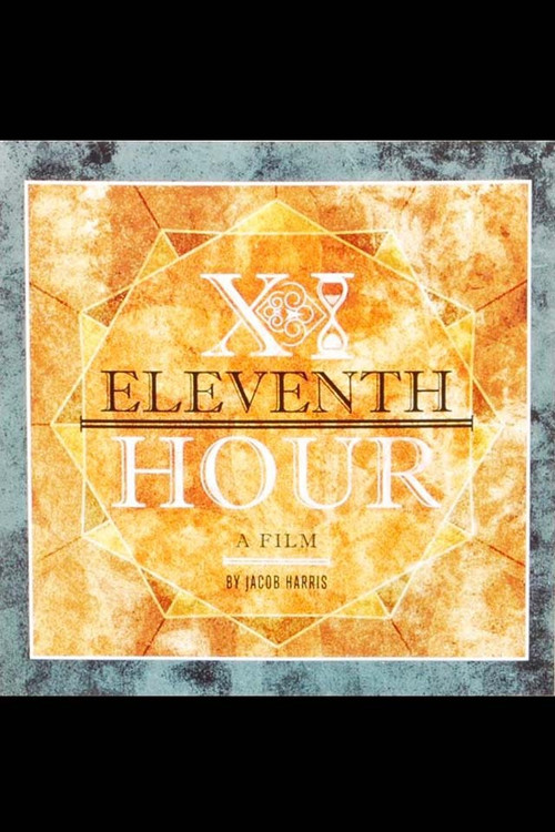 Eleventh Hour (2013) poster