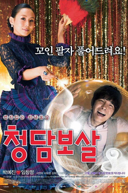 Cheongdam Falcısı (2009) poster