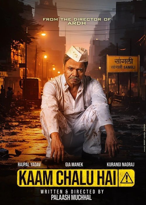 Kaam Chalu Hai (2024) poster