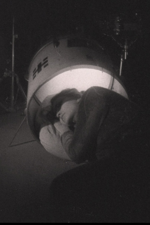 28 dienas vēlāk (2019) poster