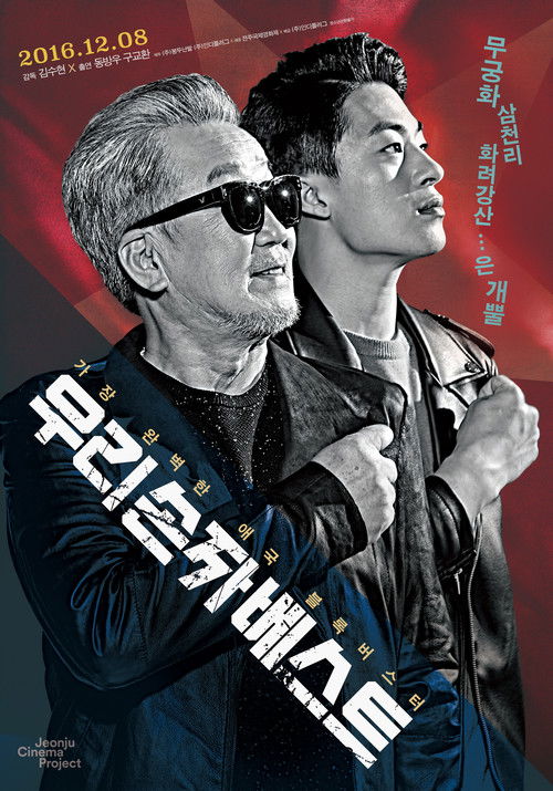 우리 손자 베스트 (2016) poster