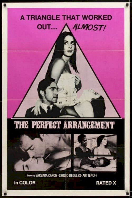 The Perfect Arrangement (1971) poster