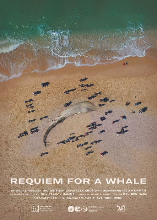 Requiem for a Whale (2022) poster