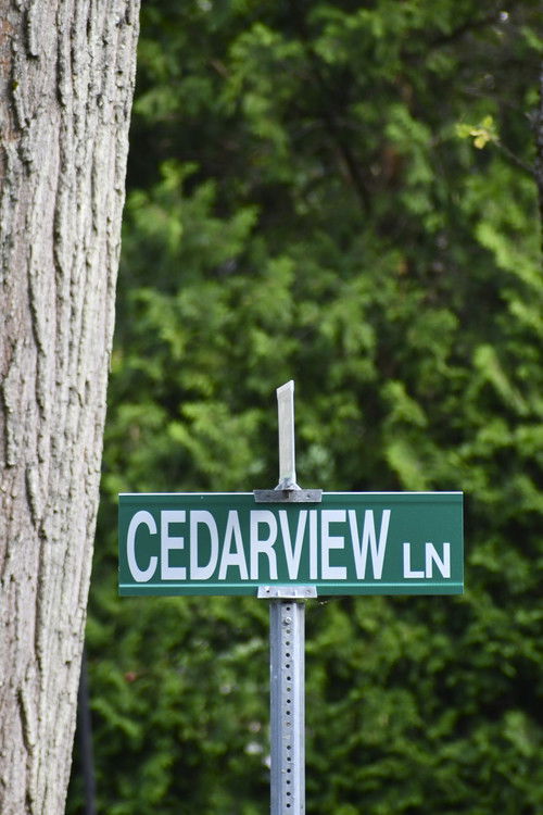 Cedarview (2024) poster