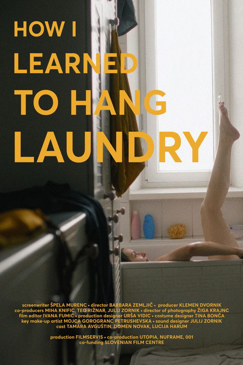 How I Learned to Hang Laundry (2023) poster