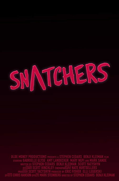 Snatchers (2016) poster