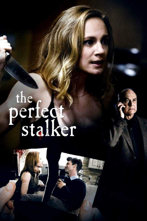 The Perfect Stalker (2016) poster