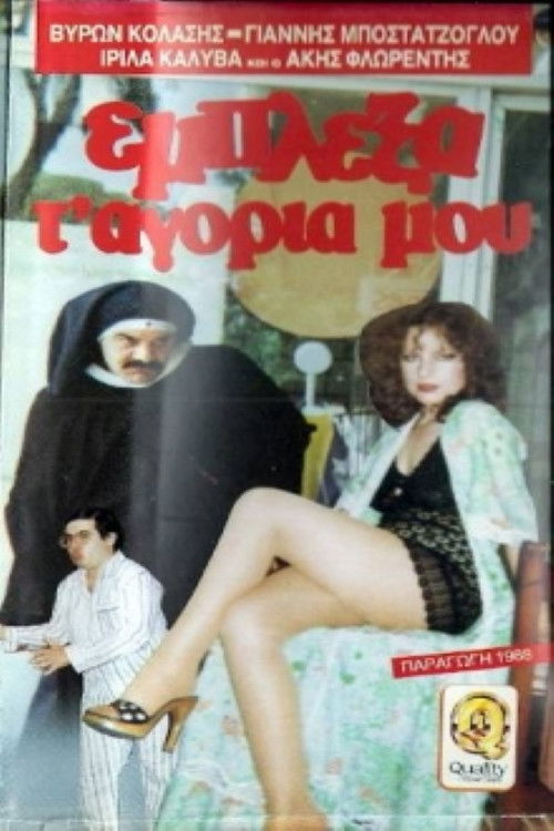 Έμπλεξα τα... αγόρια μου! (1988) poster