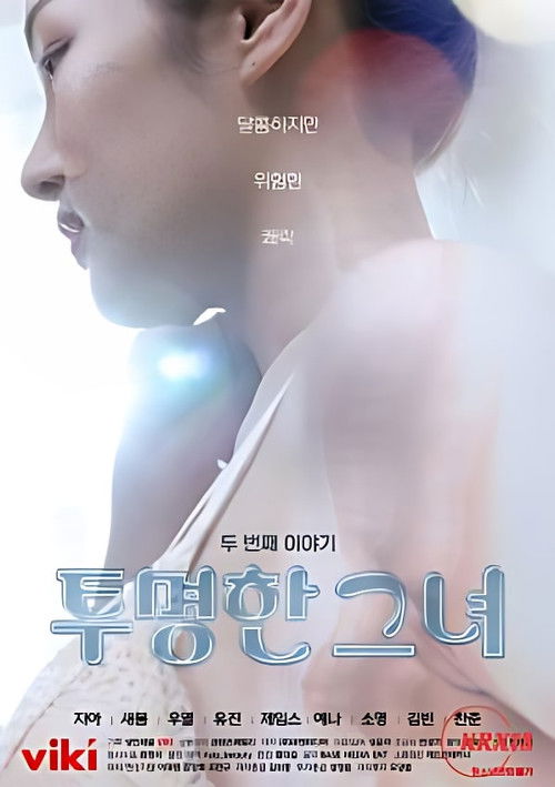 The Transparent Girls Second Story (2022) poster