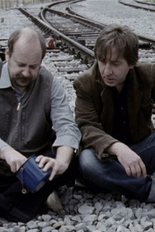 Chinese Are Coming (2009) poster