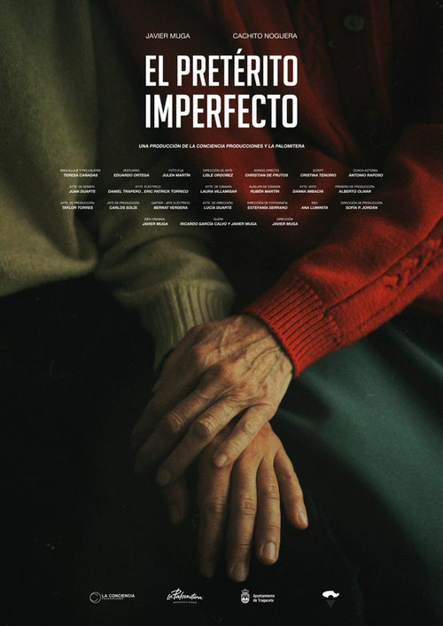 El pretérito imperfecto (2024) poster