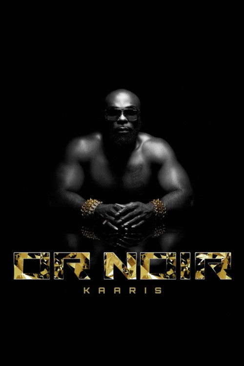 Kaaris Showcase au Palacio (2013) poster