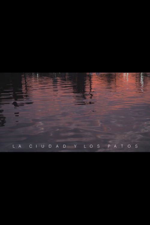 La ciudad y los patos (2018) poster