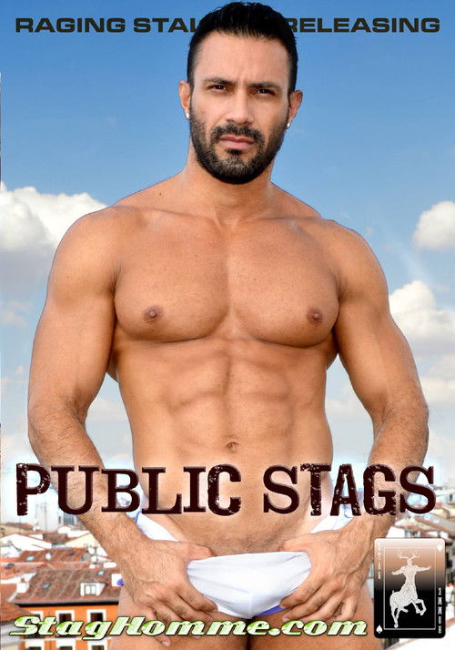 Public Stags (2014) poster