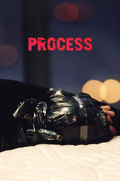 Process (2004) poster