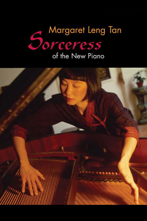 Sorceress of the New Piano (2004) poster
