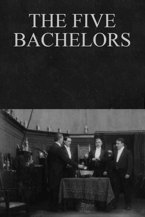 The Five Bachelors (1913) poster