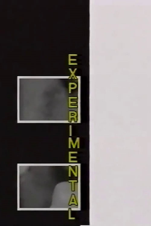 Experimental (1993) poster