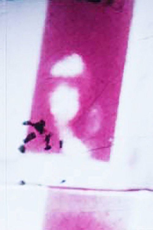 Frames (1973) poster