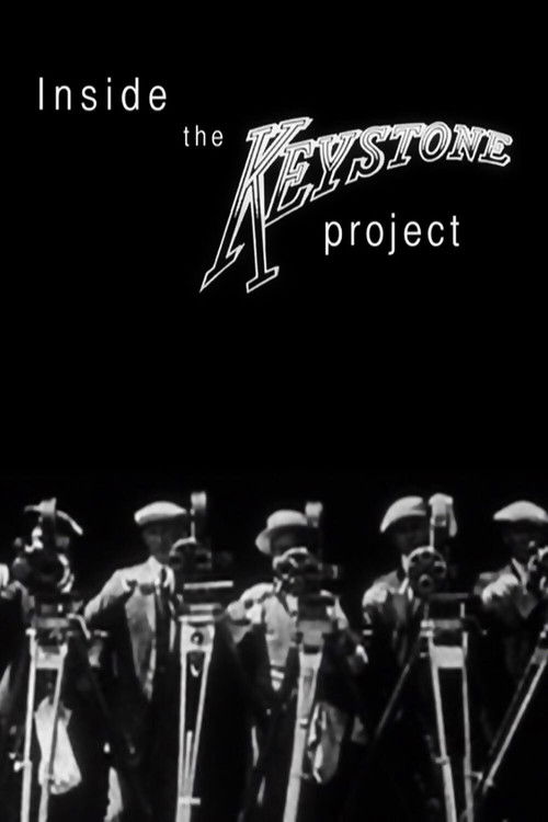 Inside the Keystone Project (2010) poster