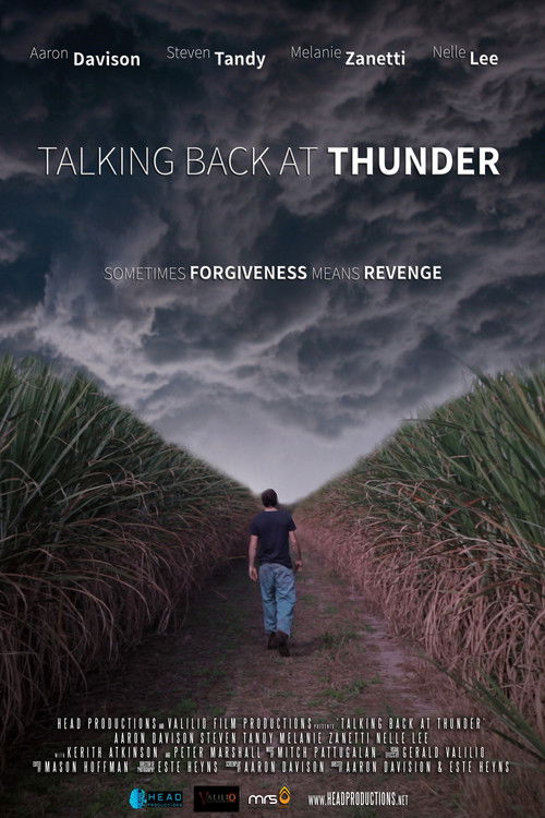 Talking Back at Thunder (2014) poster