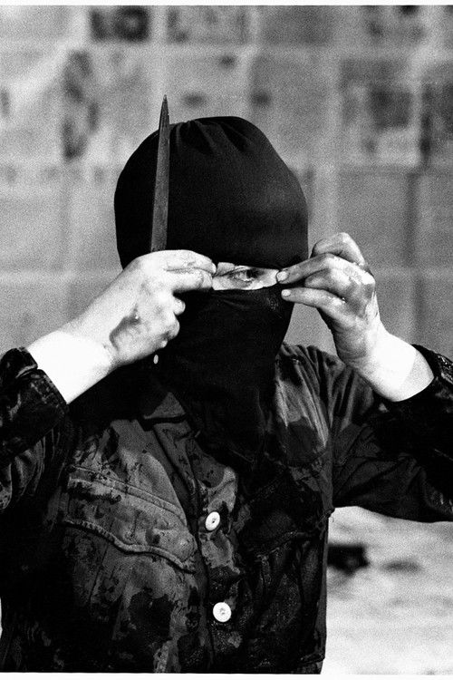 Variations On Discord and Divisions (1984) poster