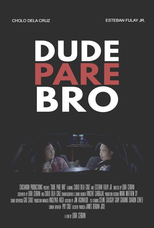 Dude Pare Bro (2019) poster