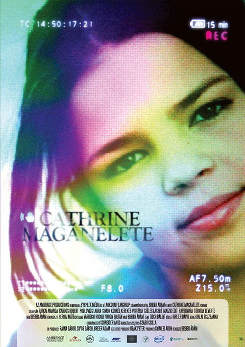Cathrine's Private Life (2010) poster