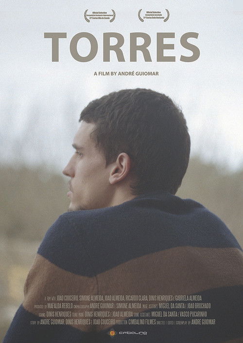 Torres (2013) poster