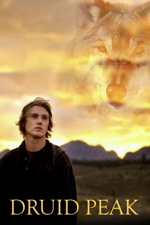 Druid Peak (2014) poster