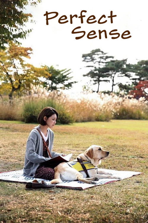 퍼펙트 센스 (2016) poster