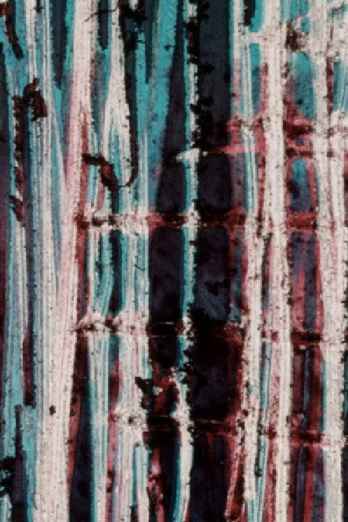 Everything Is Spinning (1978) poster