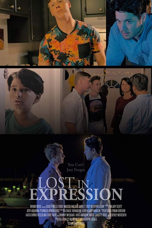 Lost in Expression (2015) poster