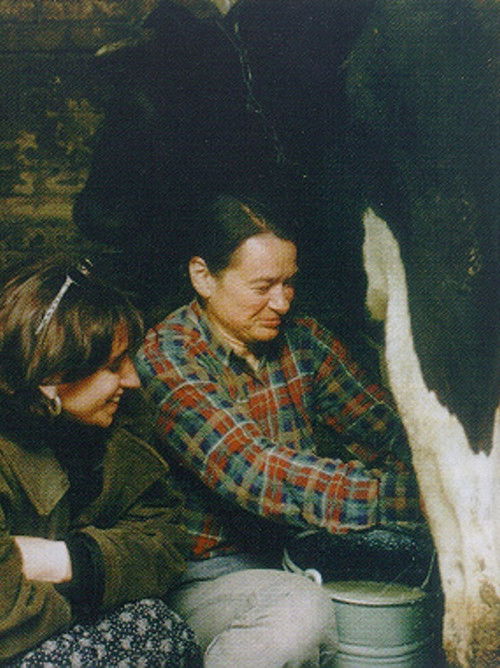 Żeby nie bolało (1998) poster