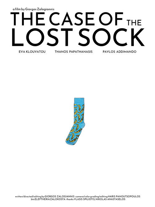 The Case of the Lost Sock (2024) poster