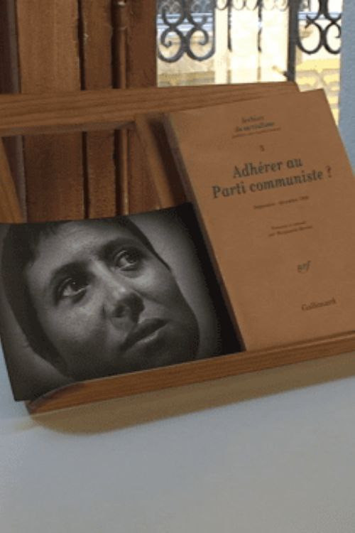 O proceso de Artaud (2010) poster