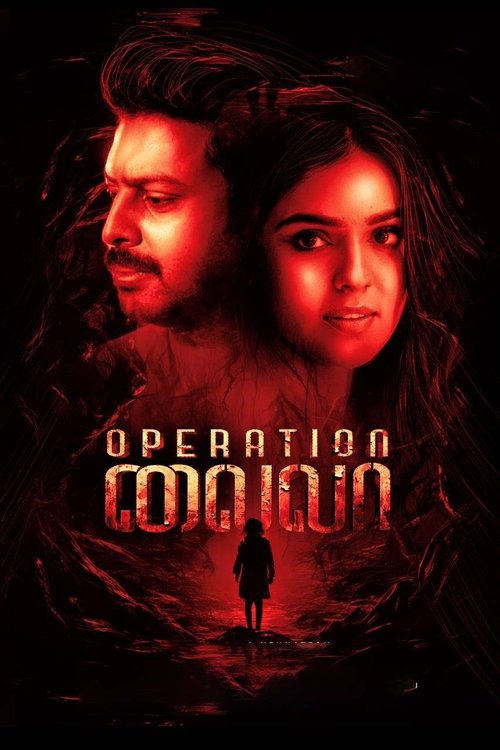 Operation Laila (2024) poster