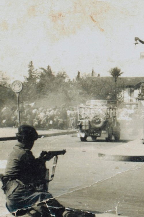 50 Years of Cyprus: Black and white hopes (1999) poster