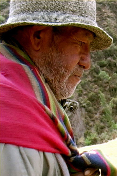 Felipe, vuelve (2009) poster