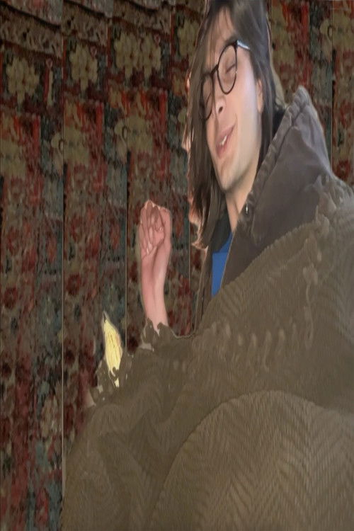 Bird Stomach (2024) poster