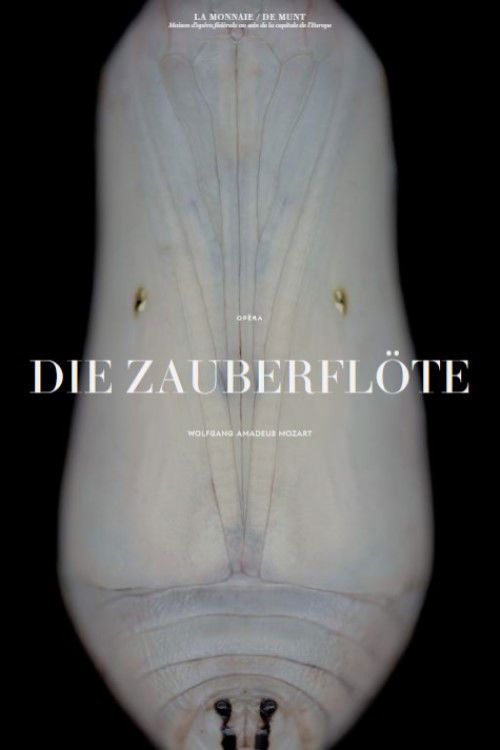 Mozart: Die Zauberflöte (2018) poster