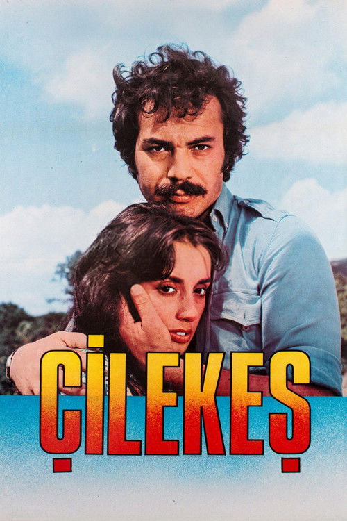 Çilekeş (1978) poster