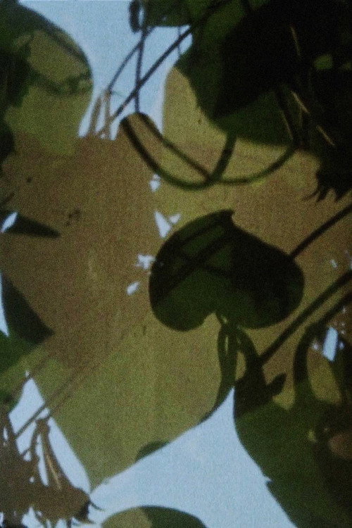 Arsenic (2010) poster