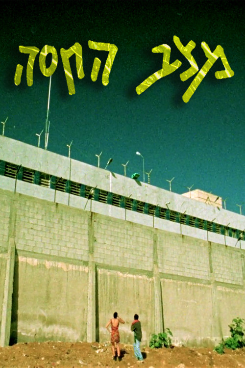 The State of Lettuce (1991) poster