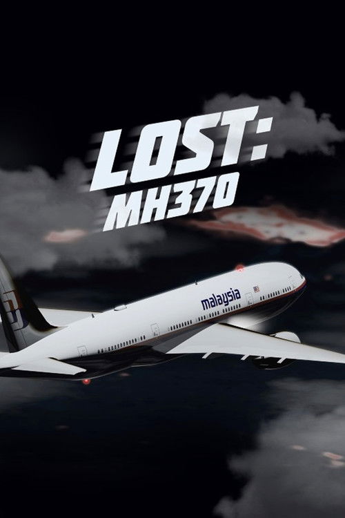 Lost: MH 370 (2014) poster